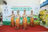 VICSAFA ra mắt Cơ quan đại diện miền Nam: Cột mốc chiến lược nâng tầm nông – lâm nghiệp khu vực phía Nam