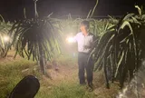Tổng quan về kỹ thuật chiếu sáng trong nông nghiệp