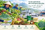 Áp lực cạnh tranh và giảm giá nông sản: Đâu là cốt lõi?