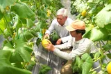 TP.HCM xúc tiến thương mại nông nghiệp xanh tại GREEN EXPO 2027