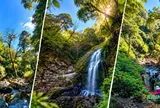 Quy hoạch lâm nghiệp hướng tới phát triển kinh tế gắn với bảo vệ rừng