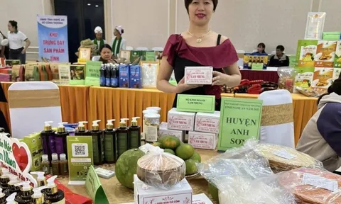 Cá còm kho tộ- từ đặc sản dân dã sông Lam đến sản phẩm OCOP
