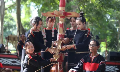 Để hồn Lễ ăn cơm mới mãi ngân vang