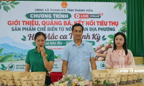 Phó Chủ tịch xã lên sóng bán mắc ca ở Thanh Kỳ