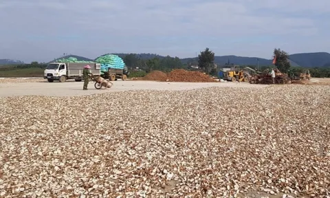 Xuất khẩu sắn cần cú chuyển mình từ sản lượng sang giá trị