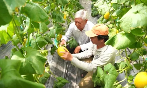 TP.HCM xúc tiến thương mại nông nghiệp xanh tại GREEN EXPO 2027