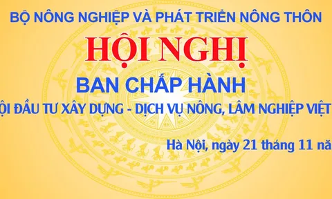 Họp Ban Chấp hành Hiệp hội ngày 21-11-2020