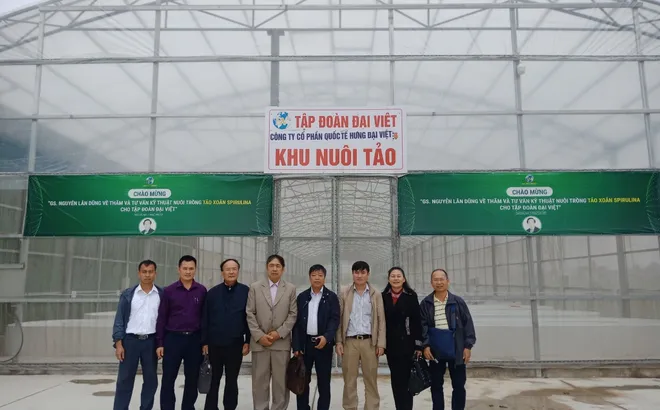 Hiệp hội Đầu tư xây dựng - Dịch vụ Nông lâm nghiệp Việt Nam: 10 năm xây dựng và phát triển